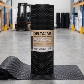 Delta MS